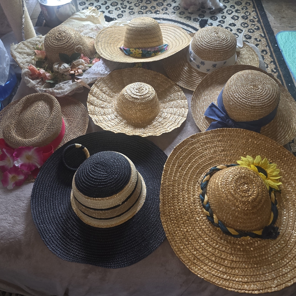Stylish Straw Sun Hat with Black and Tan Accents